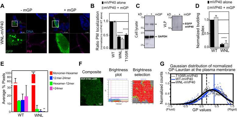 Figure 6