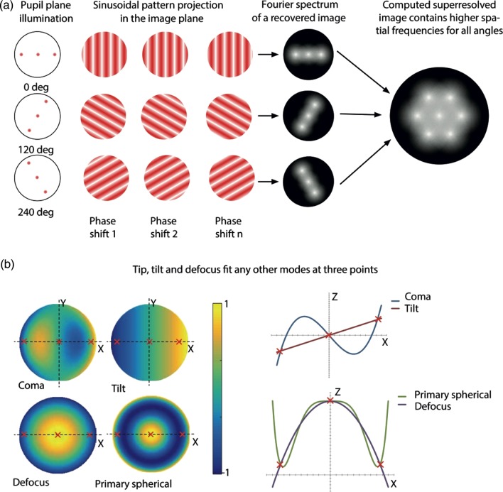 Fig. 3.