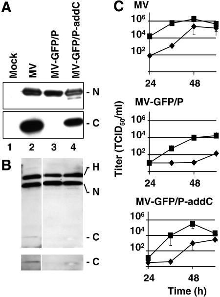 FIG. 5.