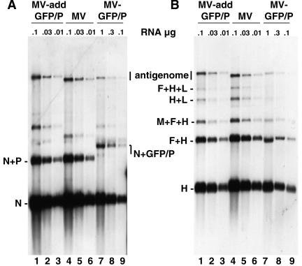 FIG. 4.