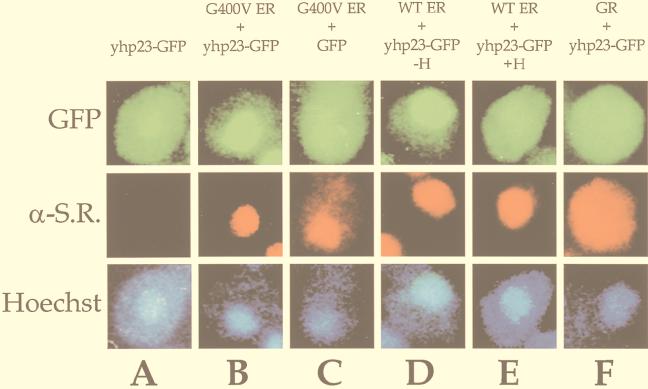 FIG. 6