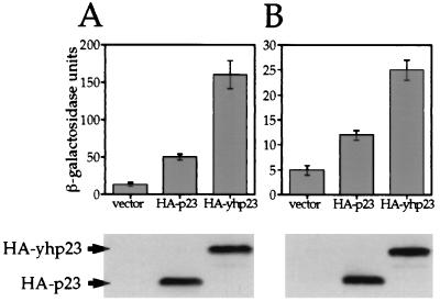 FIG. 7