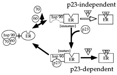 FIG. 9