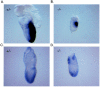 FIG. 6.