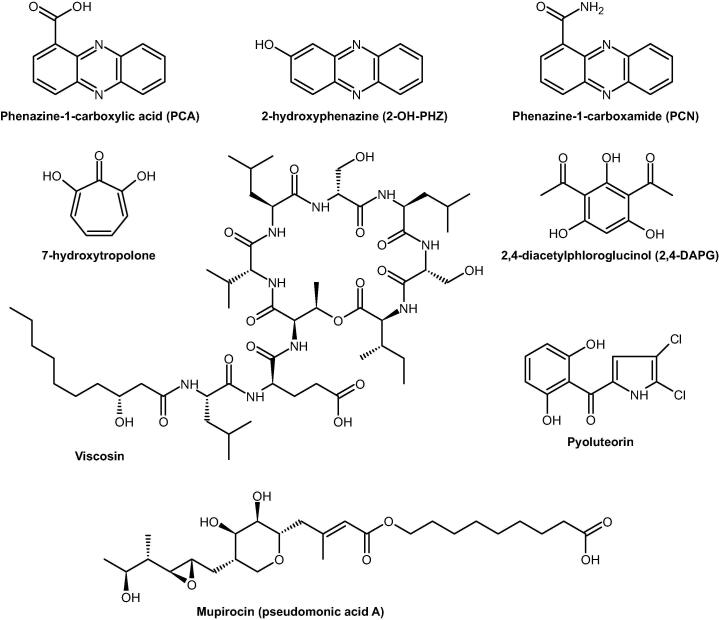 Fig. 4