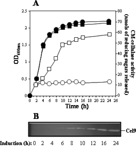 Figure 3.