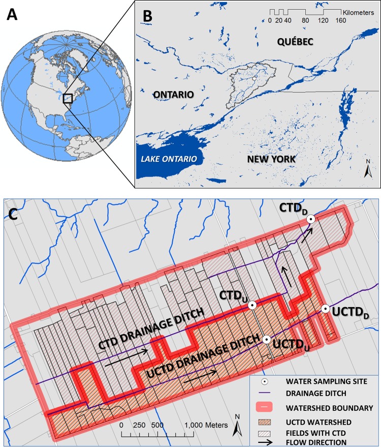 FIG 1