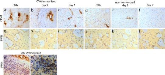 Fig. 4