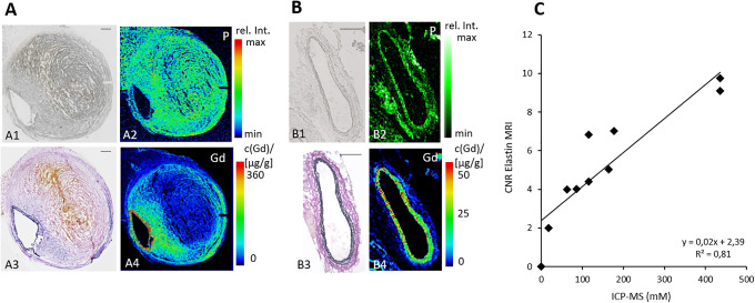 Figure 7.