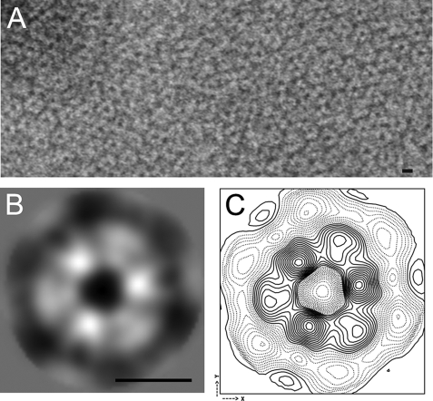 FIGURE 6.