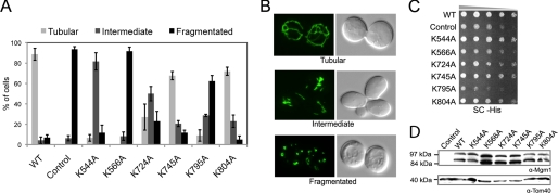 FIGURE 4.