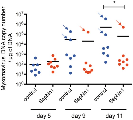 Figure 11