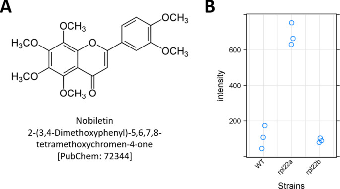 Figure 6—figure supplement 2.