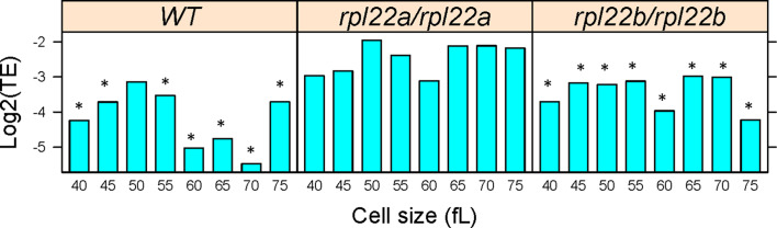 Figure 5—figure supplement 2.