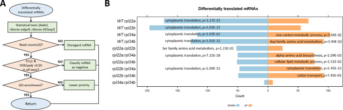 Figure 5—figure supplement 1.