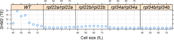 Figure 8—figure supplement 1.