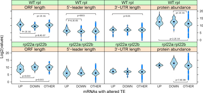 Figure 5—figure supplement 4.