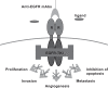 Fig. (1)