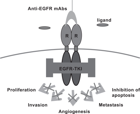 Fig. (1)