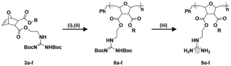 Scheme 3