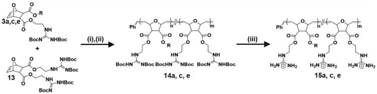 Scheme 5