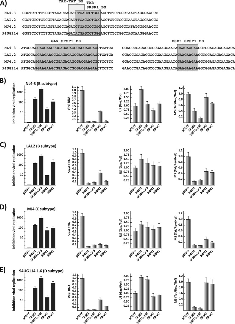 FIG 3