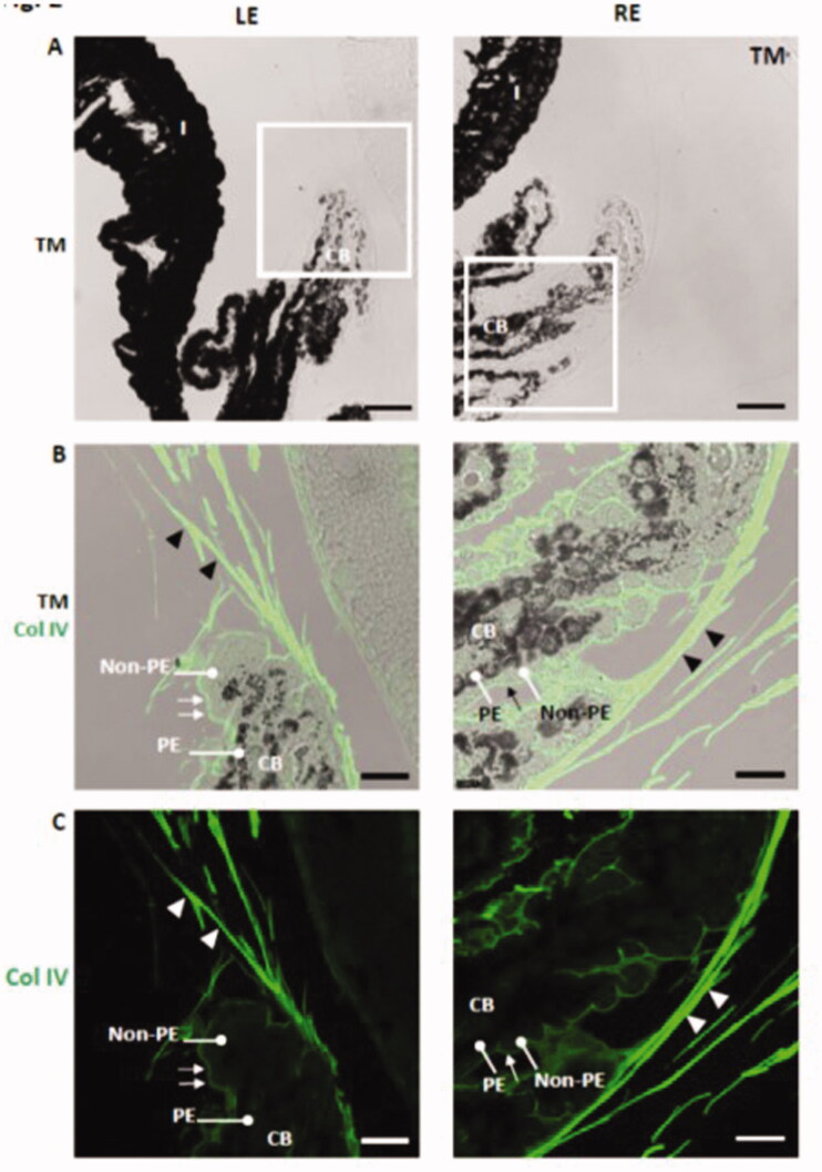 Figure 10.