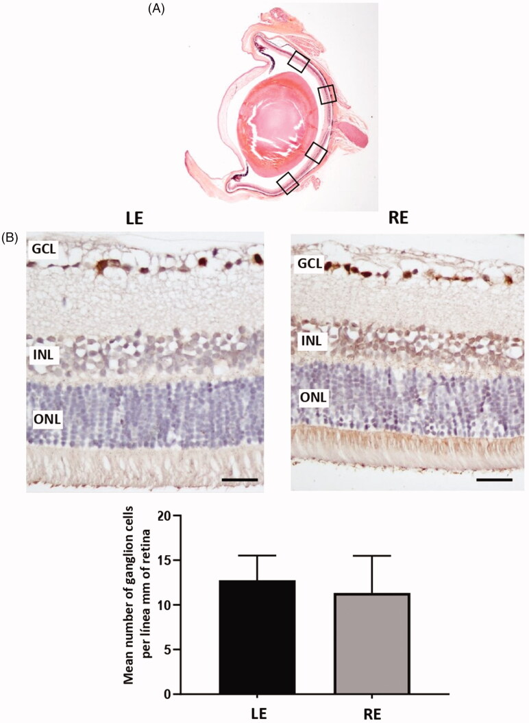 Figure 9.