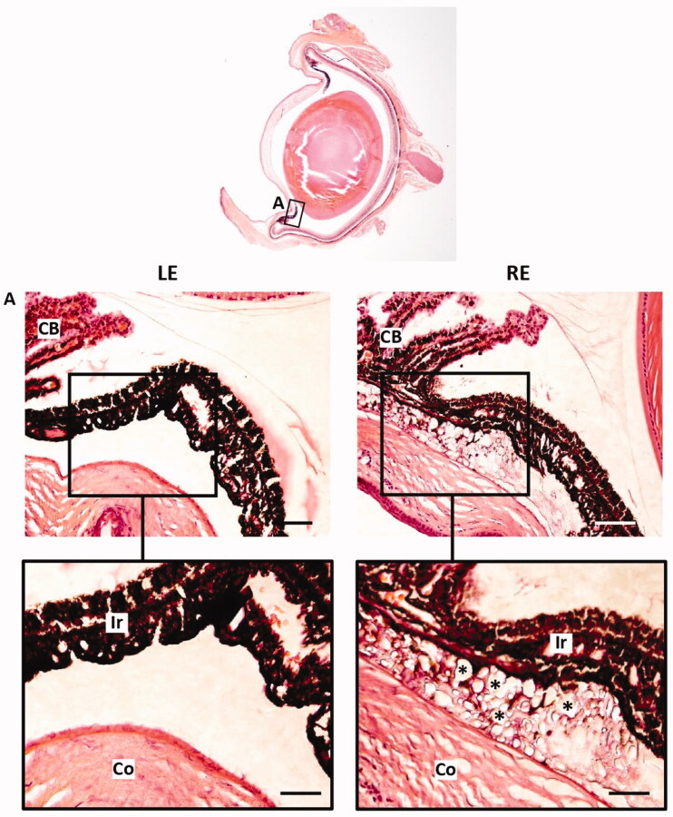 Figure 12.