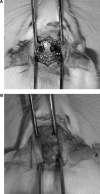 FIG. 1.