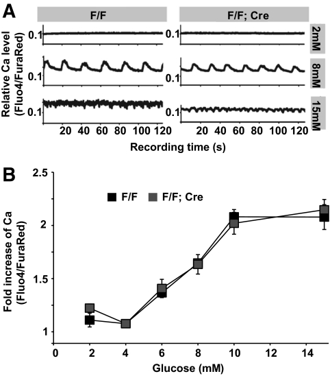 FIG. 5.