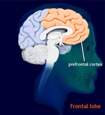 Figure 3: