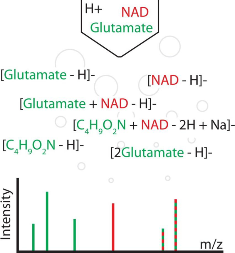 Figure 1: