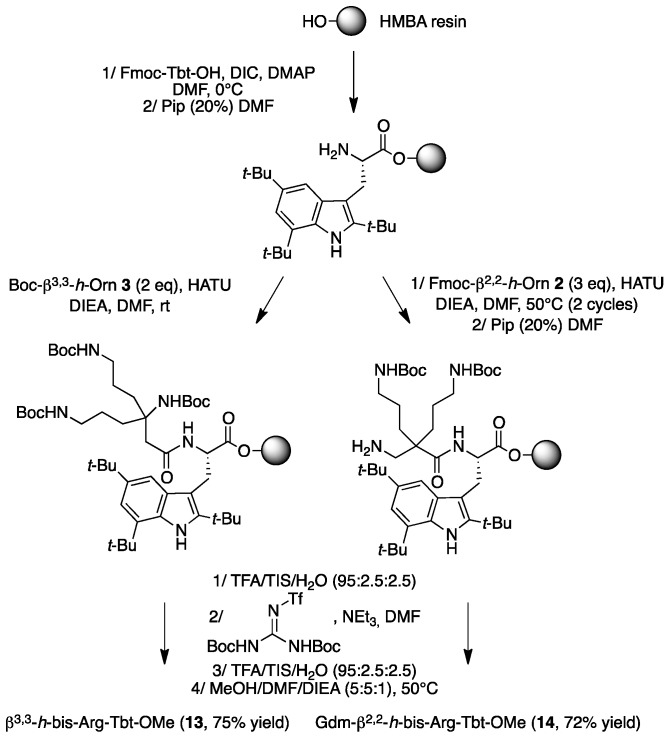 Scheme 4