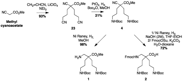 Scheme 5