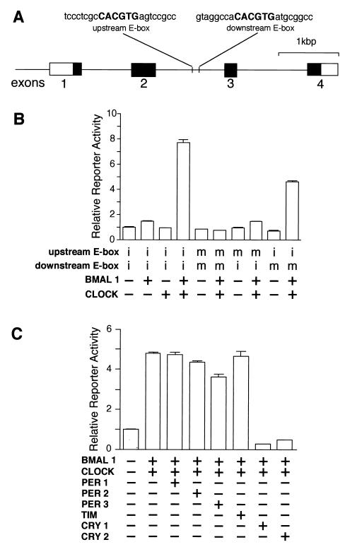 FIG. 6