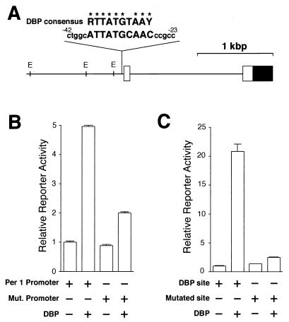 FIG. 1