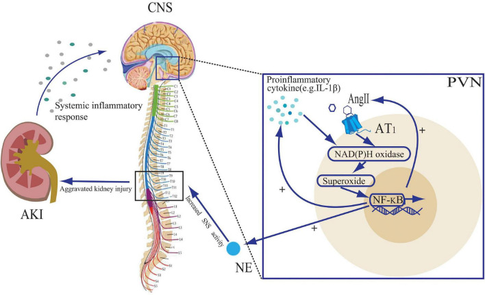 FIGURE 2