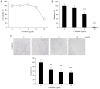 Figure 5. Inhibition of migration and invasion of human endometrial stromal cells by ε –viniferin. (A) Effect of ε –viniferin on cell viability after 24 h of exposure. (B) Inhibition of cell migration...