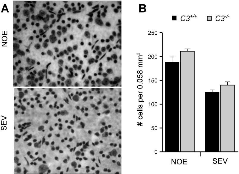 Fig. S3.