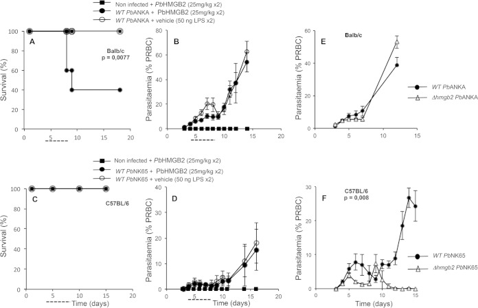 FIG 2