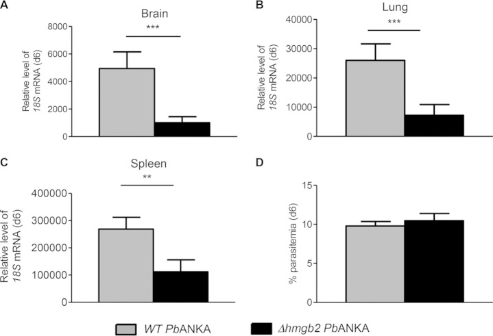 FIG 6