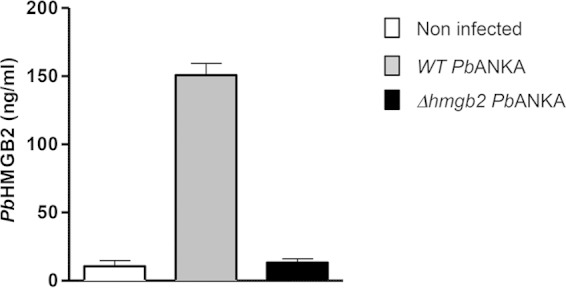 FIG 1