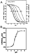 Figure 31