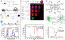 Figure 28