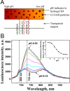 Figure 35