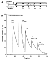 Figure 51
