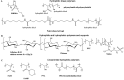 Figure 24