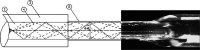 Figure 48