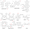 Figure 20
